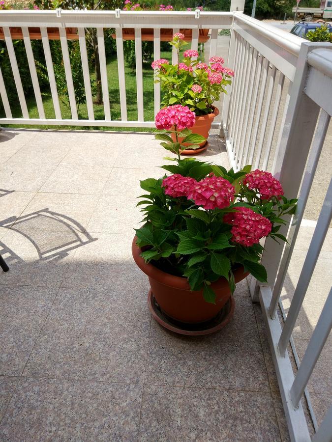 Guest House Regina Mundi Medjugorje Exterior photo